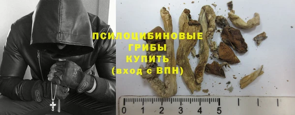 ГАЛЛЮЦИНОГЕННЫЕ ГРИБЫ Елизово