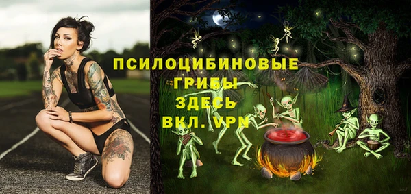 ешки Елабуга