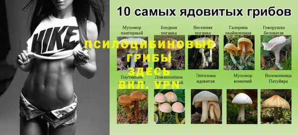 ешки Елабуга