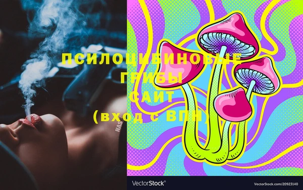 ешки Елабуга