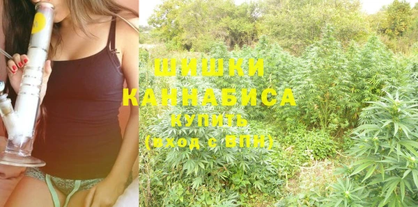 ГАЛЛЮЦИНОГЕННЫЕ ГРИБЫ Елизово